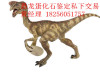 恐龙蛋化石价格龙年走势分析 南方市场深圳