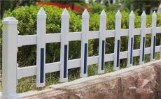 pvc护栏厂家直销插片条型塑料花草绿化围栏