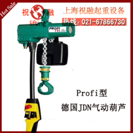 德國JDN氣動葫蘆 JDN鏈條氣動葫蘆 全年質(zhì)保