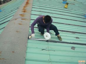 深圳市平湖专业铁皮瓦建筑防水补漏 翻新