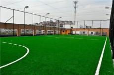 天津足球场人造草坪 球场建设草皮施工