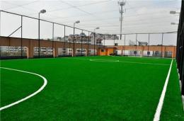 天津足球草皮 球场施工价格 人造草坪铺设