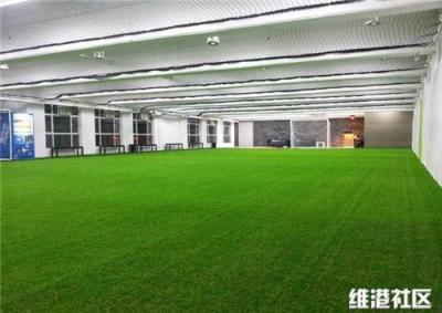 天津足球草皮 球場施工價格 人造草坪鋪設(shè)