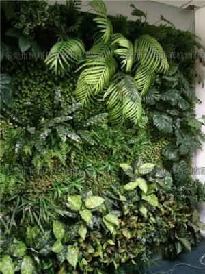 居家室内生态型仿真植物墙墙体制作价格