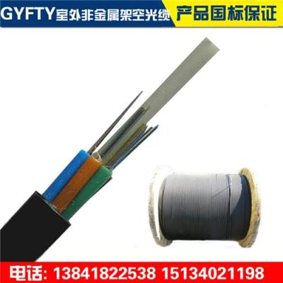GYFTY-12B1层绞非金属无铠室外架空光缆