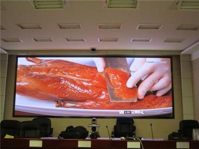 小間距全彩色LED顯示屏