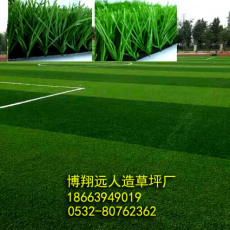 足球场专用人造草坪 人工草 足球场假草坪