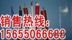 硅橡胶电机引接线价格 硅橡胶电机电缆厂家