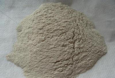 郑州生产粘结砂浆的厂家