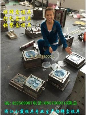 台州定做PP饭盒注塑模具 生产PP塑料盒模具