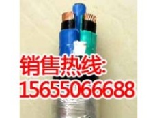 PCMC-PCC变频电缆 FCMC-PCC变频器电缆厂家