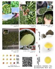 新茶上市 台湾茶叶制作流程