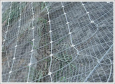 护栏网 石笼网 勾花网 边坡防护网