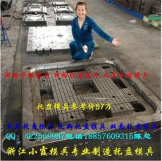 臺州塑料模具 注塑川子托盤模具 棧板模具