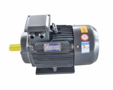 YE2高效節(jié)能三相異步電動機
