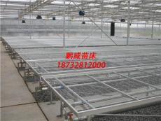 温室移动苗床潮汐式移动苗床苗床式潮汐灌溉