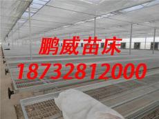 鹏威移动苗床 温室苗床厂家
