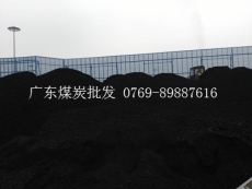 广东省5000大卡烟煤批发价格
