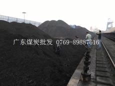 广东哪里的煤炭更便宜 广东佛山烟煤价格